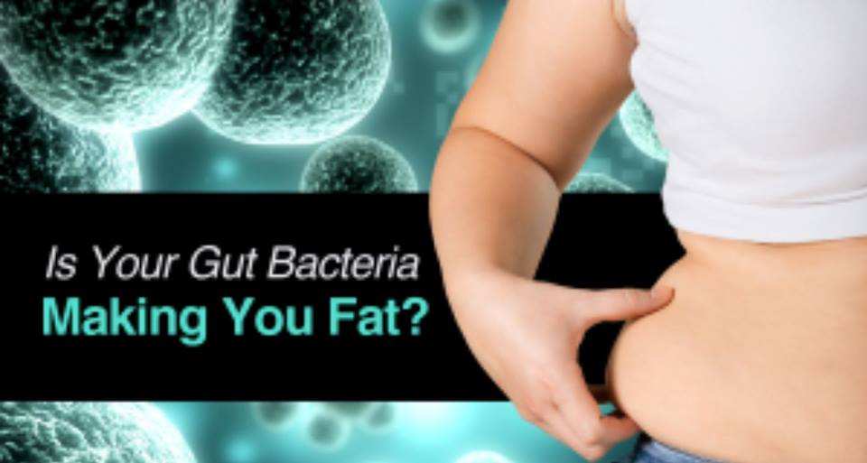 pierdere în greutate microbiome gut)